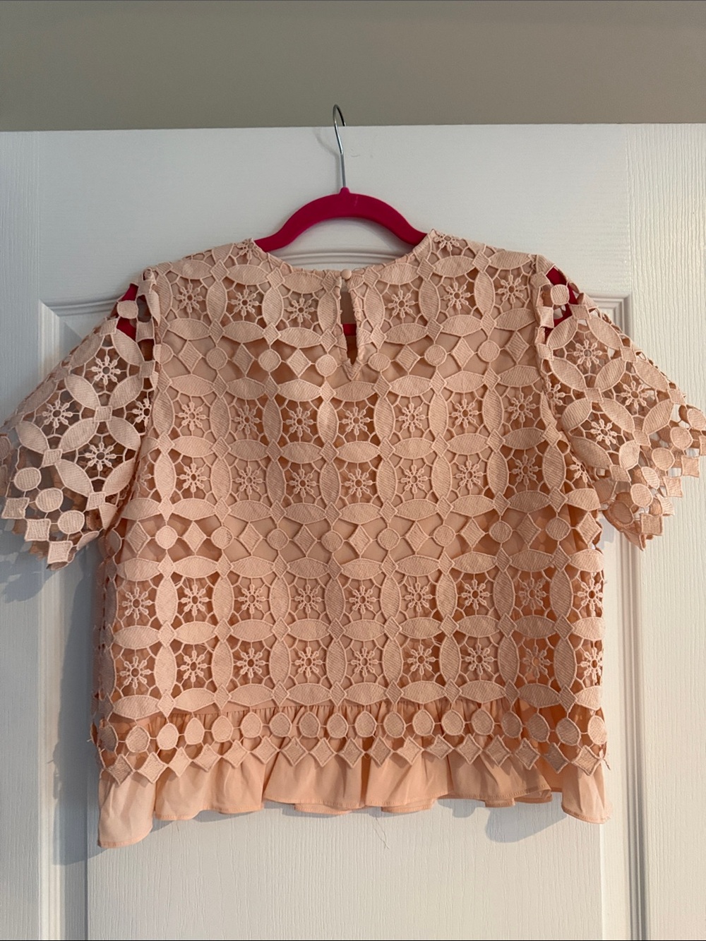 Sugarlips Pale Blush Lace Short Sleeve Top - Picture 5 of 5